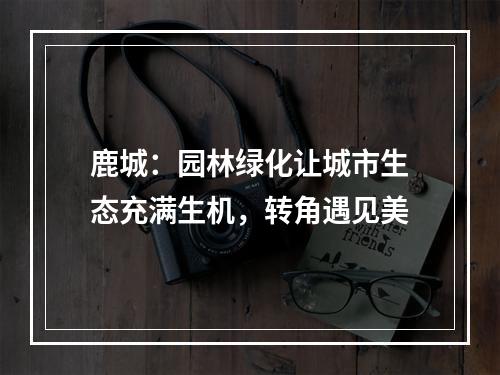 鹿城：园林绿化让城市生态充满生机，转角遇见美