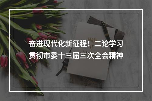 奋进现代化新征程！二论学习贯彻市委十三届三次全会精神