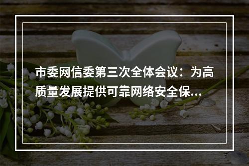 市委网信委第三次全体会议：为高质量发展提供可靠网络安全保障