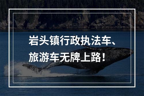 岩头镇行政执法车、旅游车无牌上路！