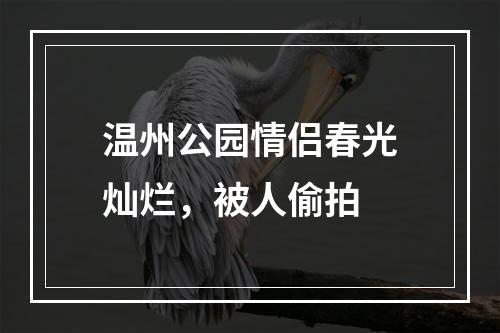 温州公园情侣春光灿烂，被人偷拍