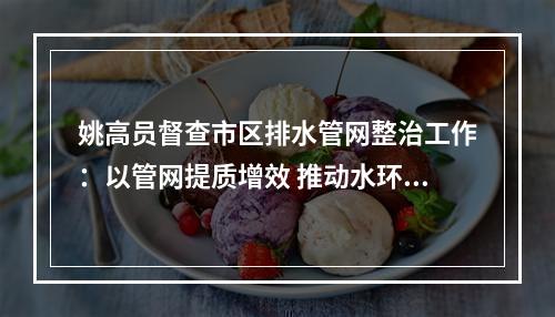 姚高员督查市区排水管网整治工作：以管网提质增效 推动水环境持续改善