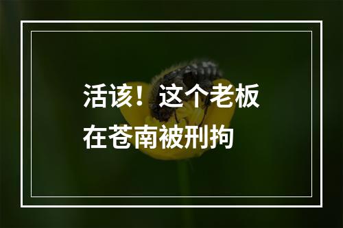 活该！这个老板在苍南被刑拘