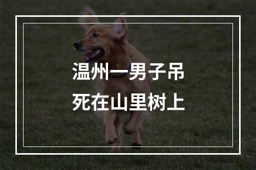 温州一男子吊死在山里树上