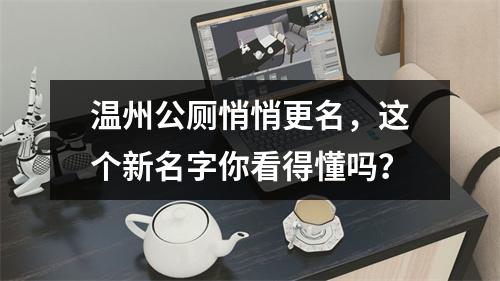 温州公厕悄悄更名，这个新名字你看得懂吗？