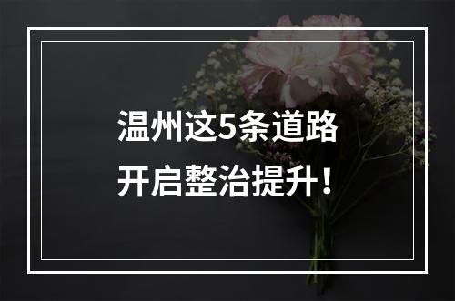 温州这5条道路开启整治提升！