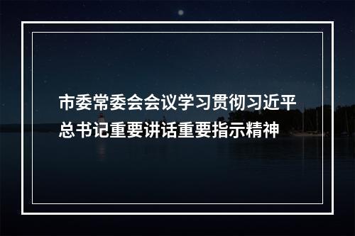 市委常委会会议学习贯彻习近平总书记重要讲话重要指示精神