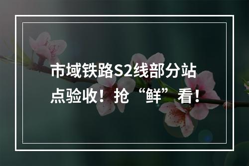 市域铁路S2线部分站点验收！抢“鲜”看！