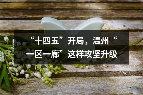 “十四五”开局，温州“一区一廊”这样攻坚升级