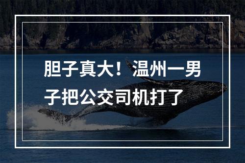 胆子真大！温州一男子把公交司机打了