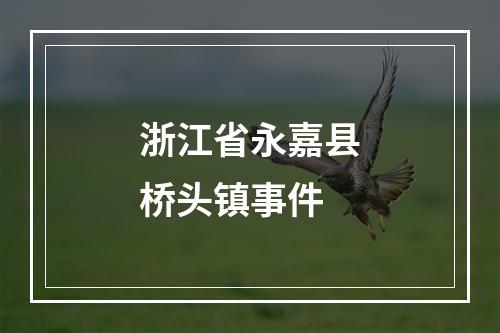 浙江省永嘉县桥头镇事件
