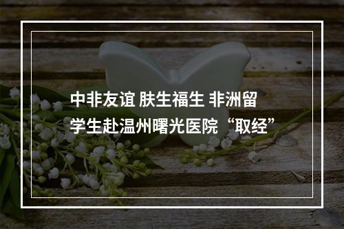中非友谊 肤生福生 非洲留学生赴温州曙光医院“取经”