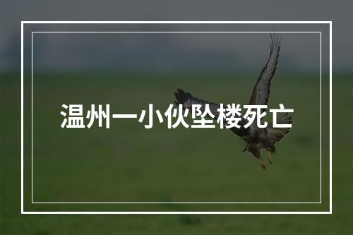 温州一小伙坠楼死亡
