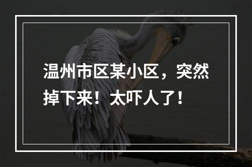 温州市区某小区，突然掉下来！太吓人了！