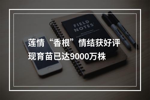 莲情“香根”情结获好评 现育苗已达9000万株
