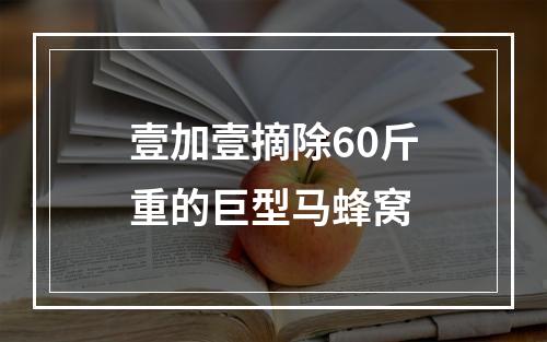壹加壹摘除60斤重的巨型马蜂窝