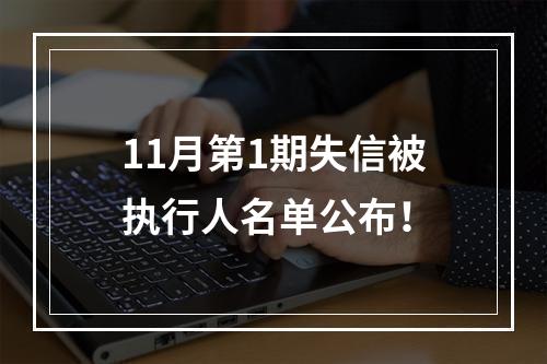 11月第1期失信被执行人名单公布！
