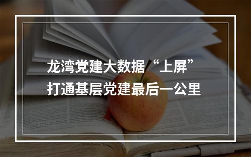 龙湾党建大数据“上屏” 打通基层党建最后一公里