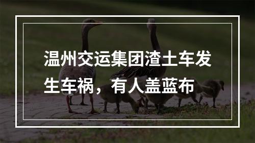 温州交运集团渣土车发生车祸，有人盖蓝布