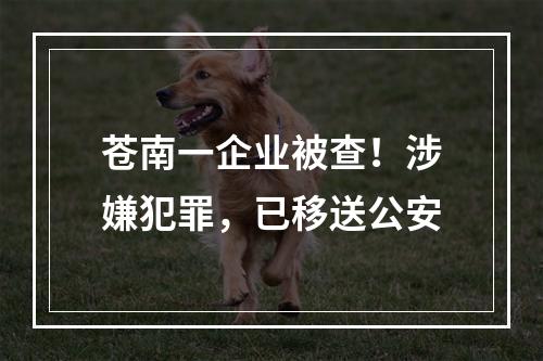 苍南一企业被查！涉嫌犯罪，已移送公安