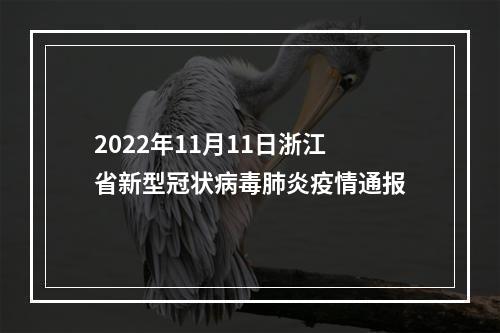 2022年11月11日浙江省新型冠状病毒肺炎疫情通报
