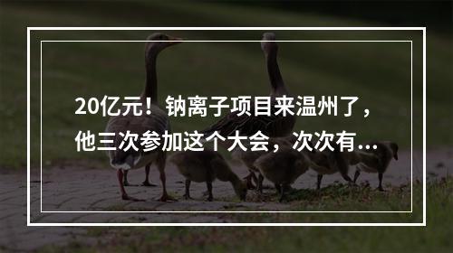 20亿元！钠离子项目来温州了，他三次参加这个大会，次次有收获