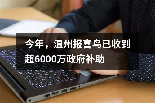 今年，温州报喜鸟已收到超6000万政府补助