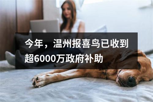 今年，温州报喜鸟已收到超6000万政府补助