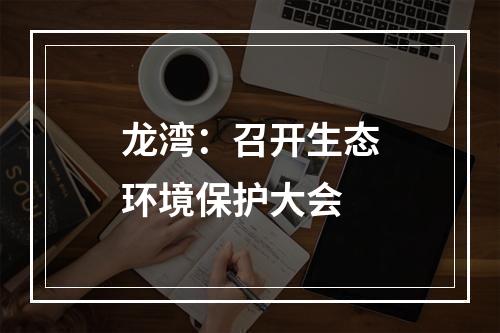 龙湾：召开生态环境保护大会