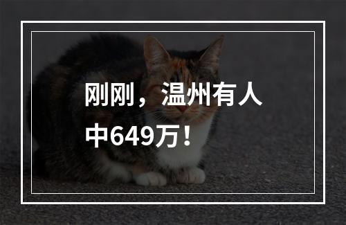 刚刚，温州有人中649万！