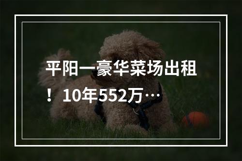 平阳一豪华菜场出租！10年552万…