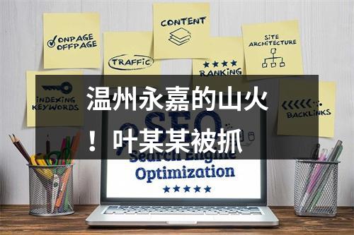 温州永嘉的山火！叶某某被抓