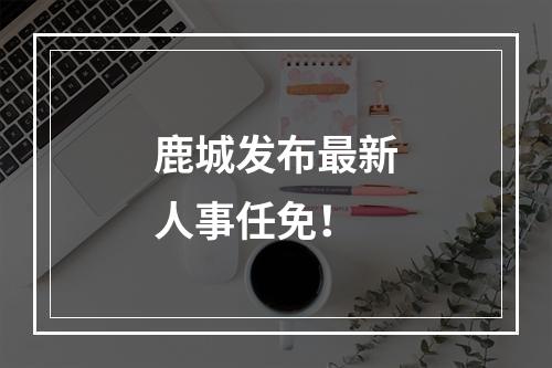 鹿城发布最新人事任免！