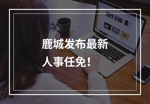 鹿城发布最新人事任免！