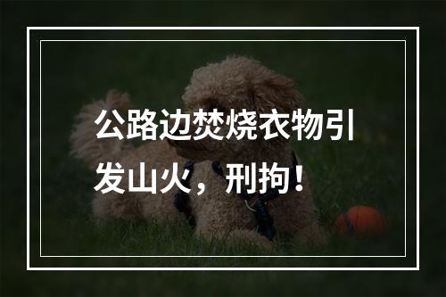 公路边焚烧衣物引发山火，刑拘！