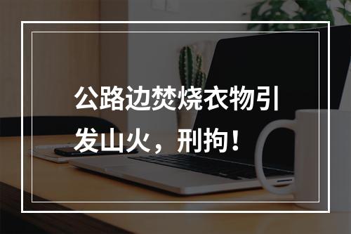 公路边焚烧衣物引发山火，刑拘！