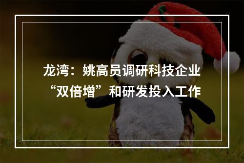 龙湾：姚高员调研科技企业“双倍增”和研发投入工作