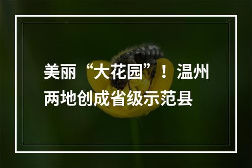 美丽“大花园”！温州两地创成省级示范县