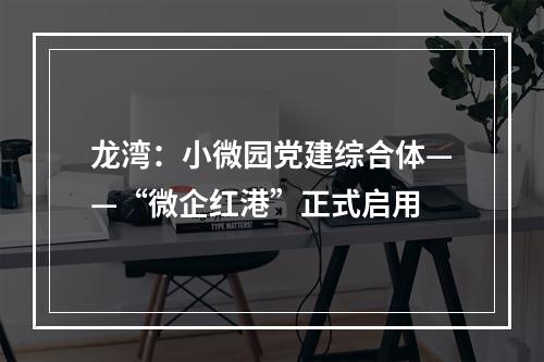 龙湾：小微园党建综合体——“微企红港”正式启用