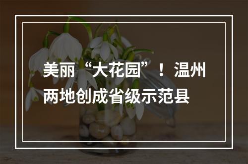 美丽“大花园”！温州两地创成省级示范县