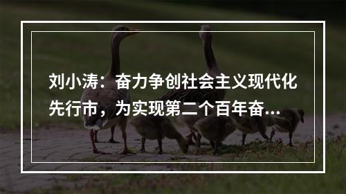 刘小涛：奋力争创社会主义现代化先行市，为实现第二个百年奋斗目标作贡献