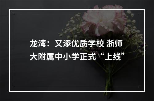 龙湾：又添优质学校 浙师大附属中小学正式“上线”