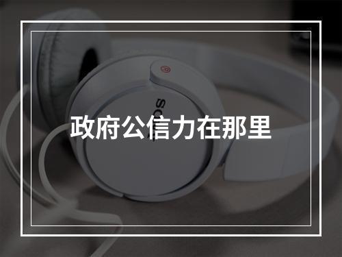 政府公信力在那里