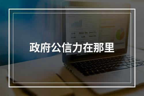 政府公信力在那里