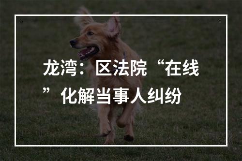 龙湾：区法院“在线”化解当事人纠纷