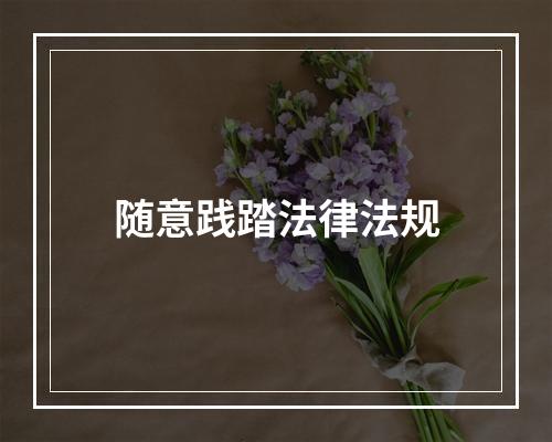 随意践踏法律法规