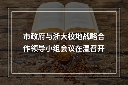 市政府与浙大校地战略合作领导小组会议在温召开