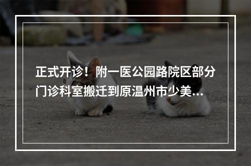 正式开诊！附一医公园路院区部分门诊科室搬迁到原温州市少美校，市民就诊别 ...