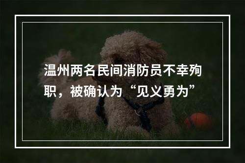 温州两名民间消防员不幸殉职，被确认为“见义勇为”