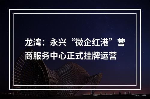 龙湾：永兴“微企红港”营商服务中心正式挂牌运营